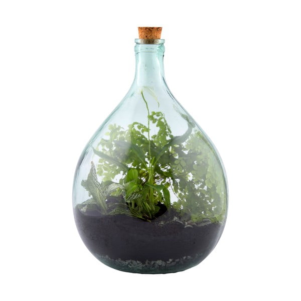 Terariu din sticlă și ustensile pentru cultivat Esschert Design, 15 l-image-2