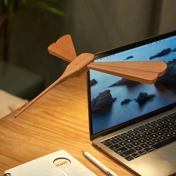 Decorațiune luminoasă în culoare naturală portabilă cu USB Dragonflight – Gingko-image-3