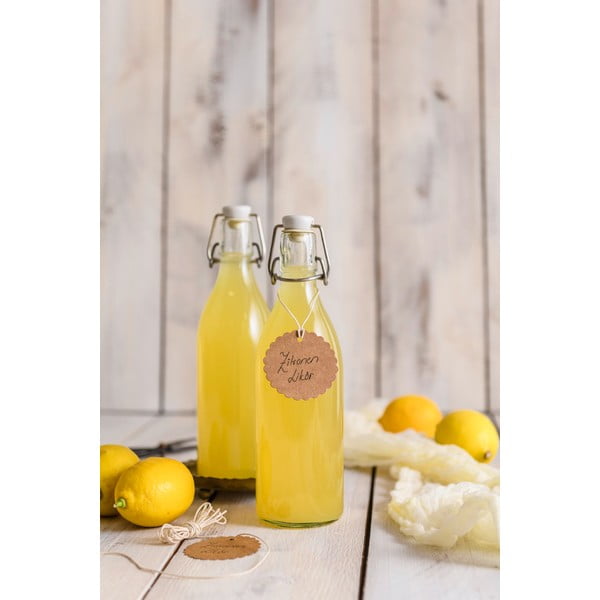 Sticlă cu închidere ermetică (clip) și garnitură Dr. Oetker Swing, 520 ml-image-1