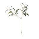 Eucalipt artificial (înălțime 101 cm) – Bloomingville