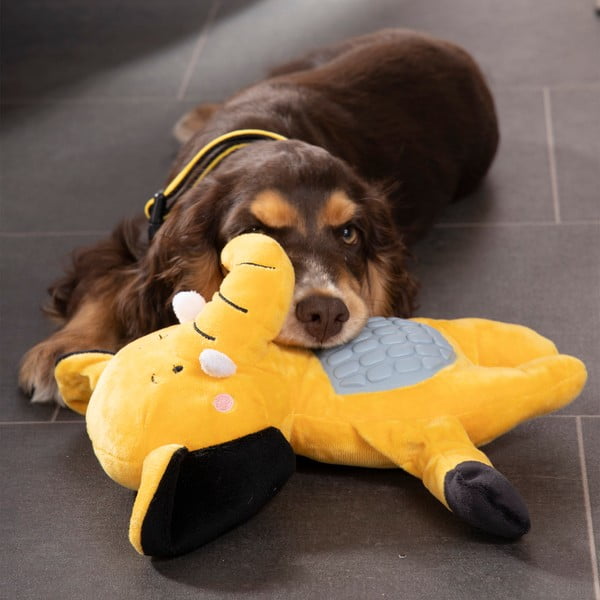 Jucărie pentru câine – Love Story-image-1