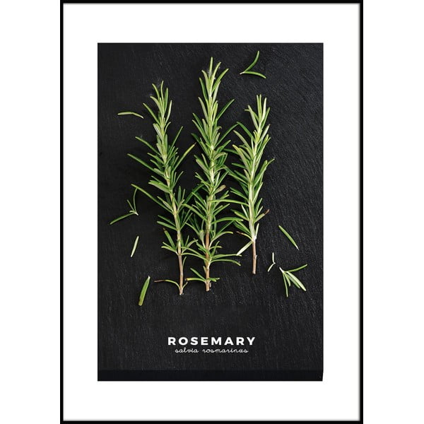 Poster cu ramă 50x70 cm Rosemary – Styler