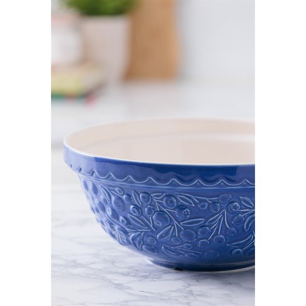 Bol albastru din gresie ø 26 cm Fruits Blueberry – Mason Cash-image-4