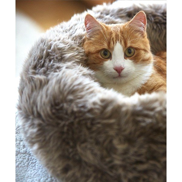 Pat  crem pentru animale de companie din blană artificială ø 50 cm Lana Ivory/Mottled Natural – MiaCara-image-1