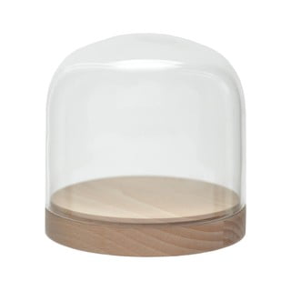 Recipient din sticlă Pleasure Dome Beech, 13 cm