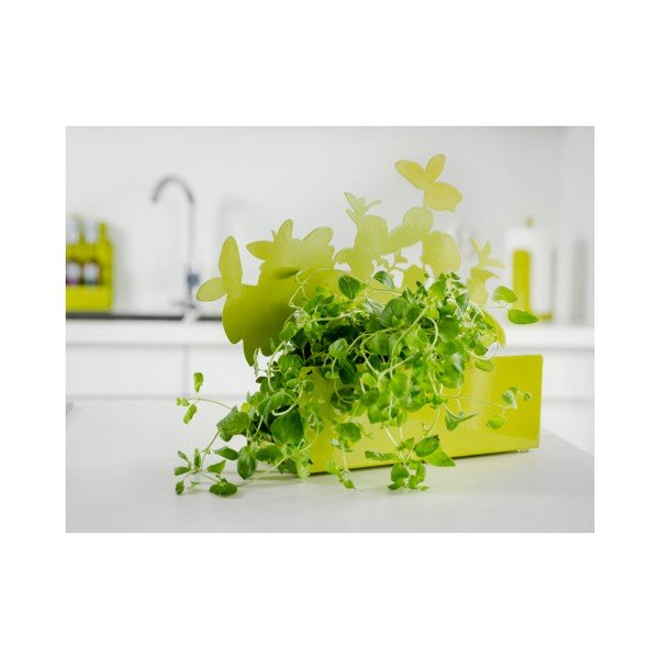 Suport pentru plante aromatice Sagaform Herb,, verde-image-2