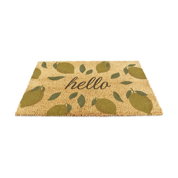 Covoraș de intrare din fibre de nucă de cocos 40x60 cm Hello Lemons – Artsy Doormats