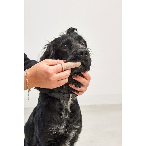 Set de periuțe de dinți pentru animale Dito – MiaCara-image-3