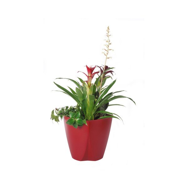 Ghiveci Plastia Camay Vanilla, ø 18,5 cm, roșu-image-1