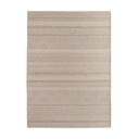 Covor pentru exterior și interior bej 160x230 cm Desert 1303 – Ayyildiz Carpets