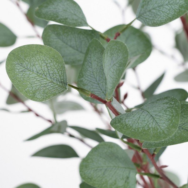 Eucalipt artificial (înălțime 180 cm) Eucalyptus – Ixia-image-1