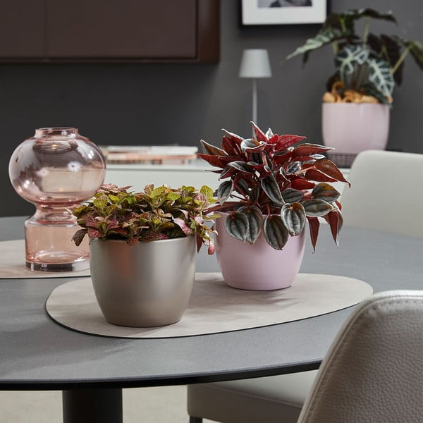 Ghiveci din ceramică ø 19 cm Basel Elegance - Big pots-image-1