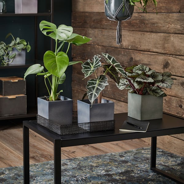 Ghiveci din ceramică Big pots Latina, 15 x 15 cm, violet-image-1