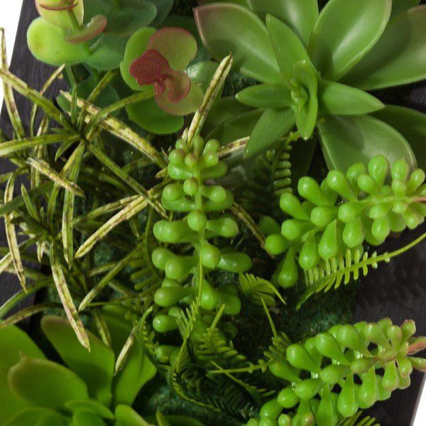 Set 2 decorațiuni de perete Unimasa Cactus Black-image-3