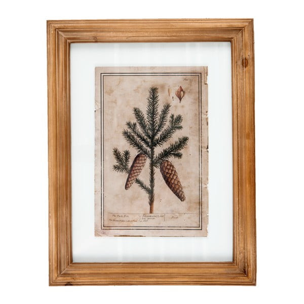 Tablou Clayre & Eef  Pine Cones, 36 x 46 cm
