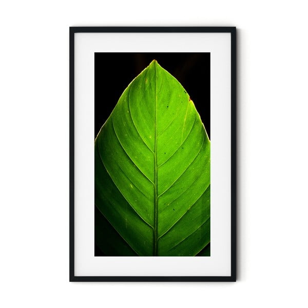 Tablou cu ramă Insigne Leaf, 46 x 72 cm