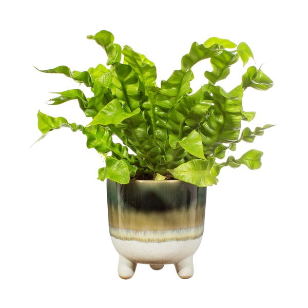 Ghiveci Sass & Belle Bohemian Home Mojave, ø 11,7 cm, verde-image-2