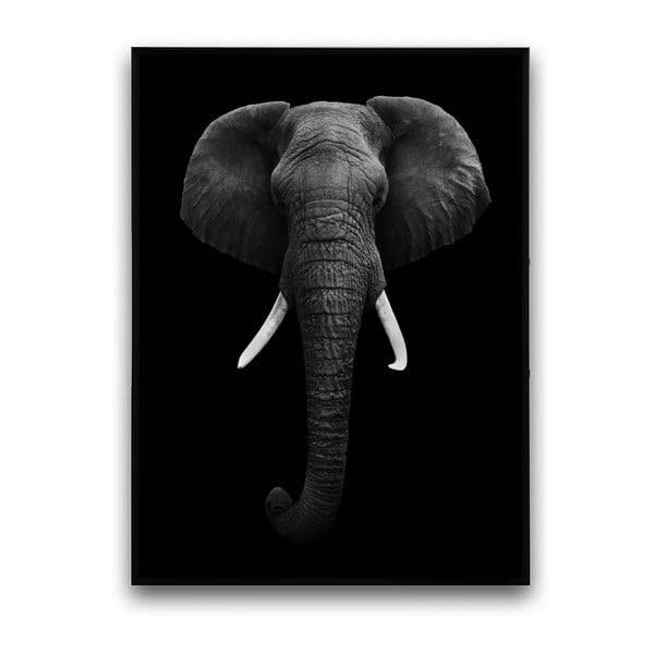 Poster cu ramă din lemn Elefant