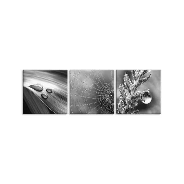 Set 3 tablouri din sticlă Styler Drops