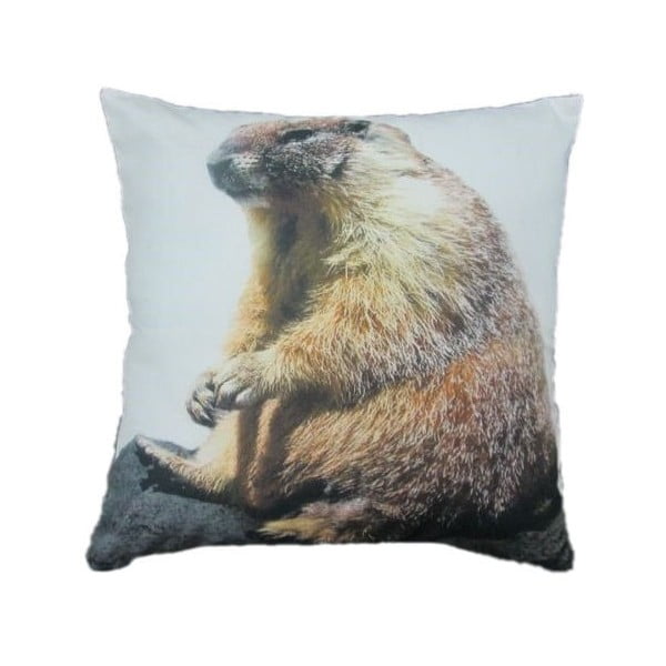 Pernă Marmot 50x50 cm