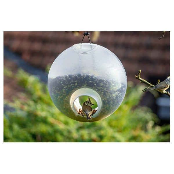 Hrănitor de păsări transparent Berry - Plastia-image-2