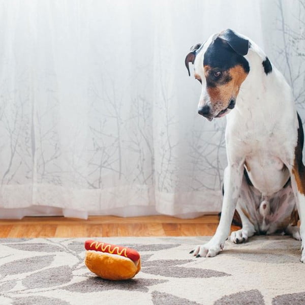 Jucărie pentru câine Hot Dog – P.L.A.Y.-image-1