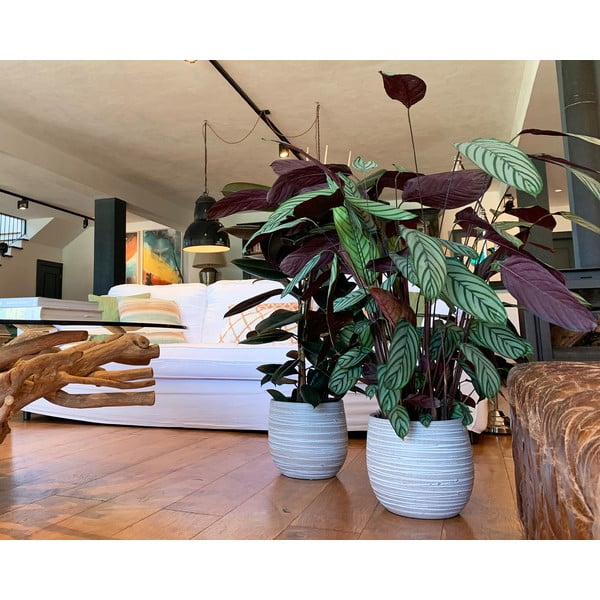 Ghiveci din ceramică făcut manual ø 29 cm Dóris – Artevasi-image-1