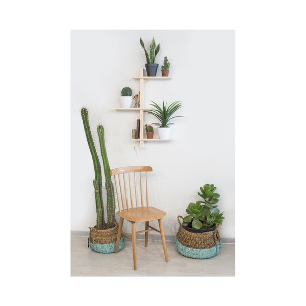 Raft de perete din lemn de brad pentru ghivece Really Nice Things Natural-image-1
