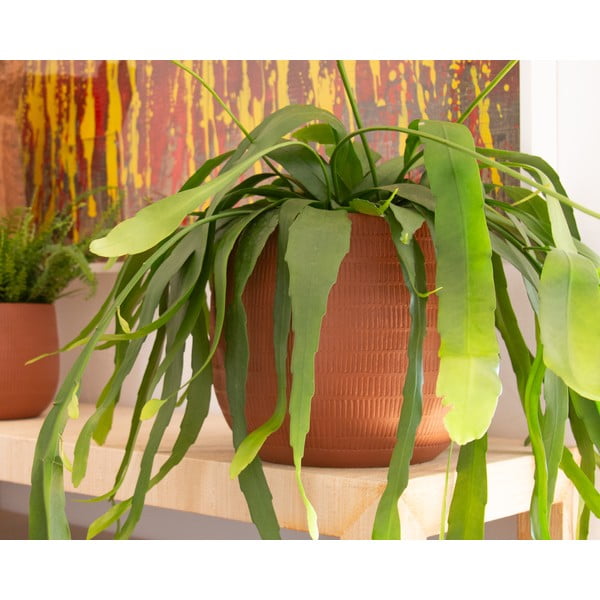 Ghiveci din ceramică făcut manual ø 20 cm Aura – Artevasi-image-1