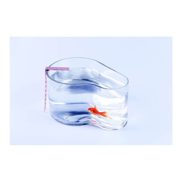 Acvariu DOIY Fishpool-image-1