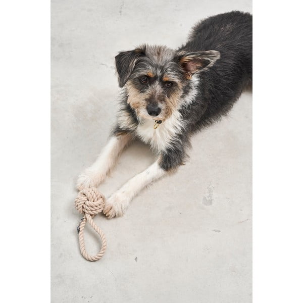 Jucărie pentru câine Nodo Greige – MiaCara-image-2