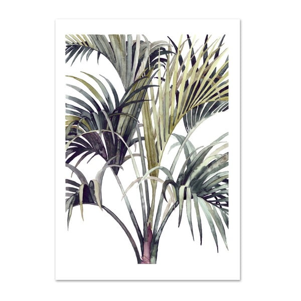 Poster Leo La Douce Wild Palm, 21 x 29,7 cm