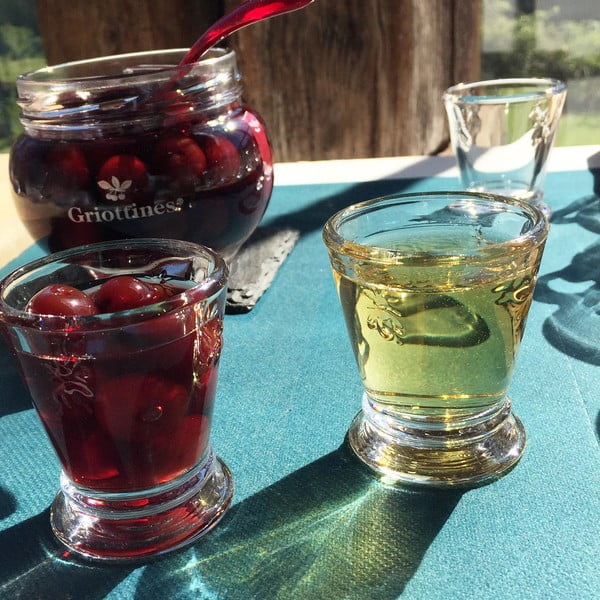 Suport din sticlă pentru ouă La Rochére Abeille-image-1