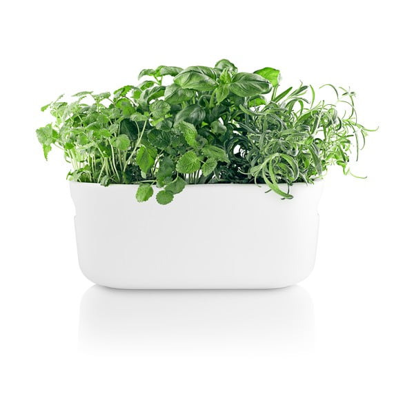 Ghiveci cu udare automată Eva Solo, alb-image-4