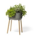 Recipient de cultivare din plastic cu sistem de auto-irigare Urbalive – Plastia