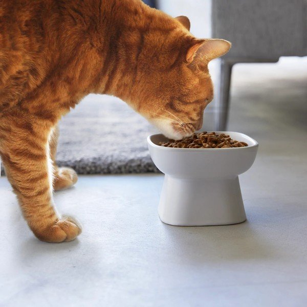 Bol pentru animale de companie din ceramică Tower – YAMAZAKI-image-1