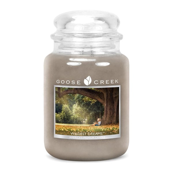 Lumânare parfumată în recipient de sticlă Goose Creek Wildest Dreams, 150 ore de ardere
