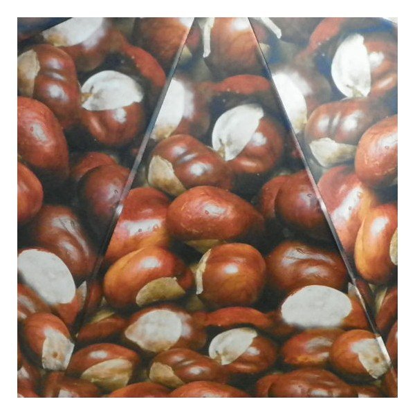 Umbrelă Chestnust All Over-image-3