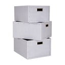 Cutii de depozitare gri-deschis 3 buc. din carton Ture – Bigso Box of Sweden