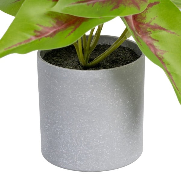 Plantă artificială (înălțime 20 cm) Syngonium – Ixia-image-1