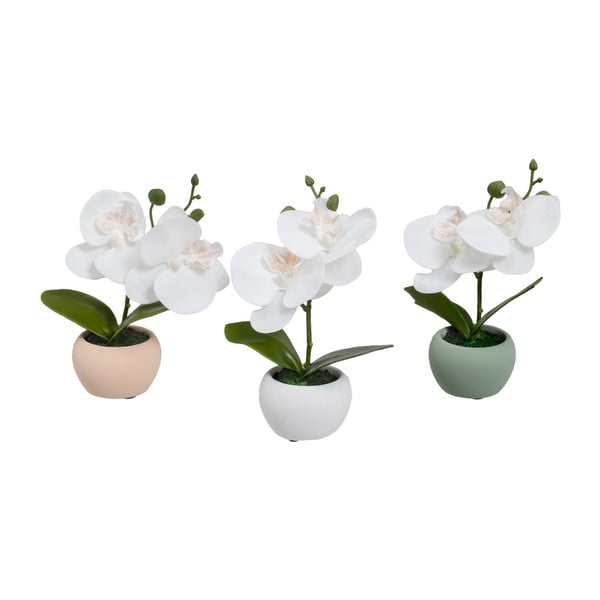 Plante artificiale 3 buc. (înălțime 15 cm) Orchid – Casa Selección