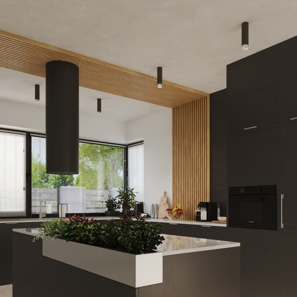 Plafonieră neagră/argintie Crown – Sollux-image-4