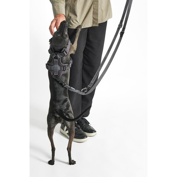 Lesă verde cu prindere prin carabină lungime 200 cm Modena Grolive 25 mm – MiaCara-image-3