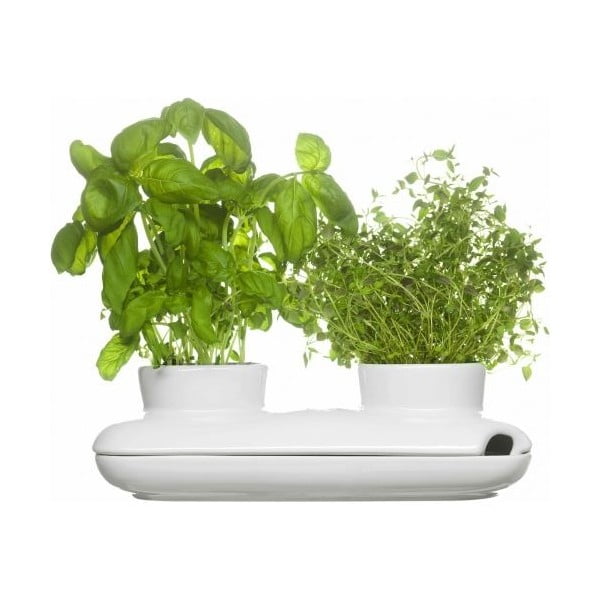 Ghiveci pentru plante Duo Herb