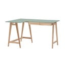 Birou 85x135 cm Luka – Ragaba