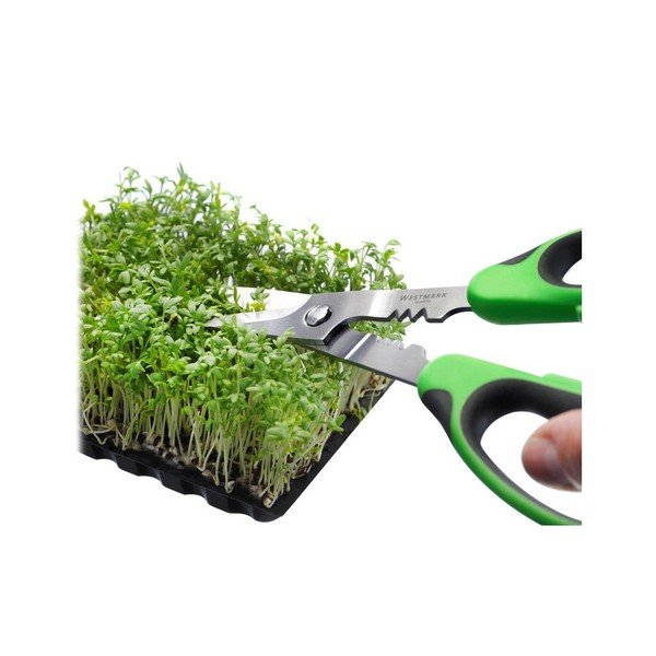 Foarfecă pentru ierburi aromate Westmark Herby-image-3