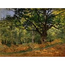 Reproducere pe pânză după Claude Monet - The Bodmer Oak, Fontainebleau Forest, 70 x 50 cm