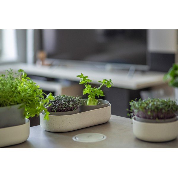 Ghiveci din plastic Microgreens + Regrow – Plastia-image-2