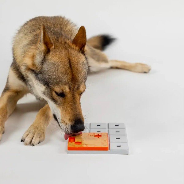 Puzzle pentru câini Terra – Pawzler-image-2