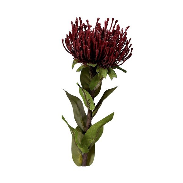 Plantă artificială (înălțime 74 cm) Protea – Ego Dekor